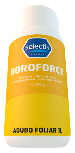 Boroforce